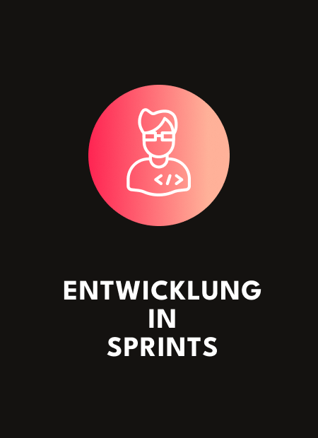 Unser Entwicklungsansatz Schritt 3: Entwicklung in Sprints